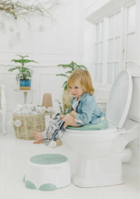 Baby Potty Trainer with detachable Toilet Seat & Step Stool, Hemlock