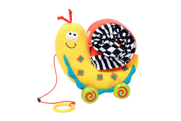 Dolce Toys Pull Along Color Snail