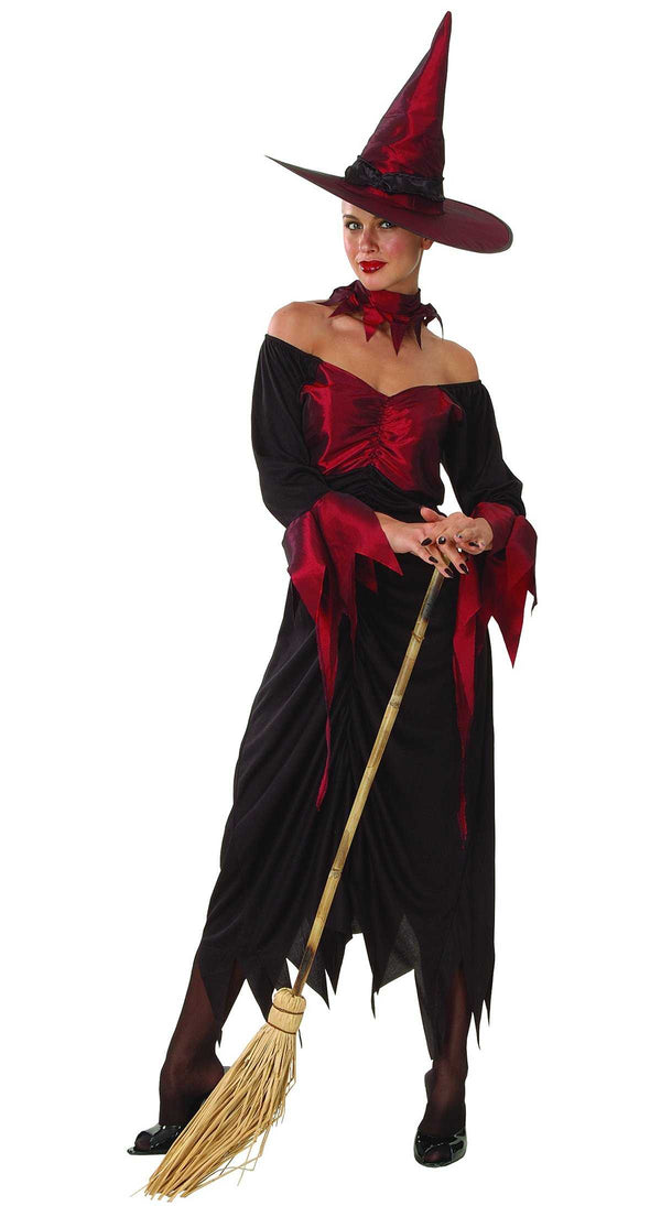 Halloween Wicked Witch Adult Costume For Ladies