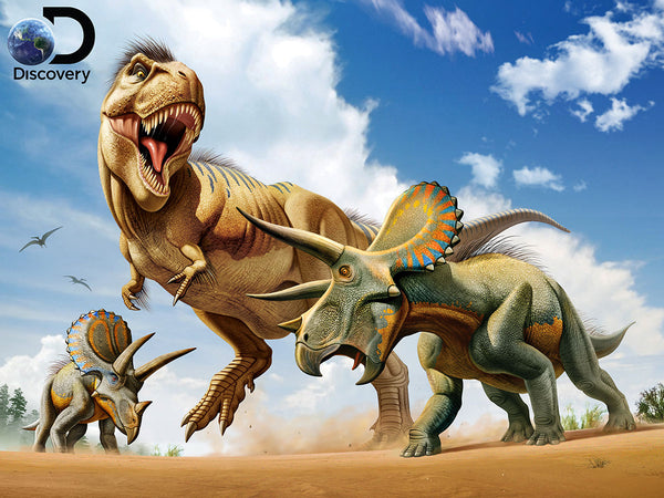 Prime 3D Puzzles - Discovery - T-rex versus Triceratops 500 pcs Puzzle