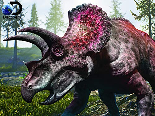 Prime 3D Puzzles - Discovery - Triceratops 500 pcs Puzzle
