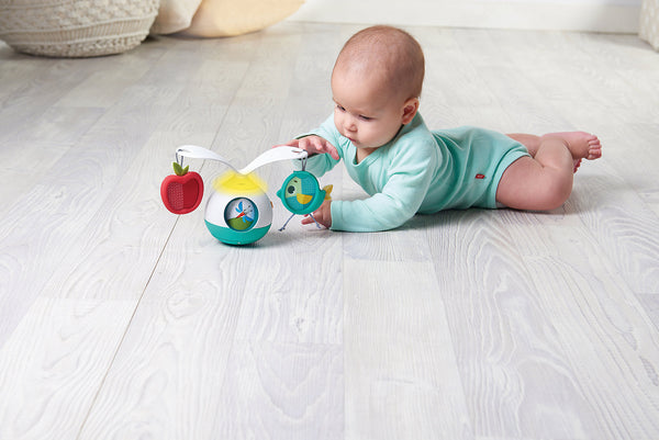 Tiny Love - Tummy Time Mobile Entertainer - Meadow Days